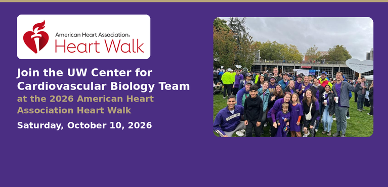 Join the UW Center for Cardiovascular Biology Team at the 2026 American Heart Association Heart Walk